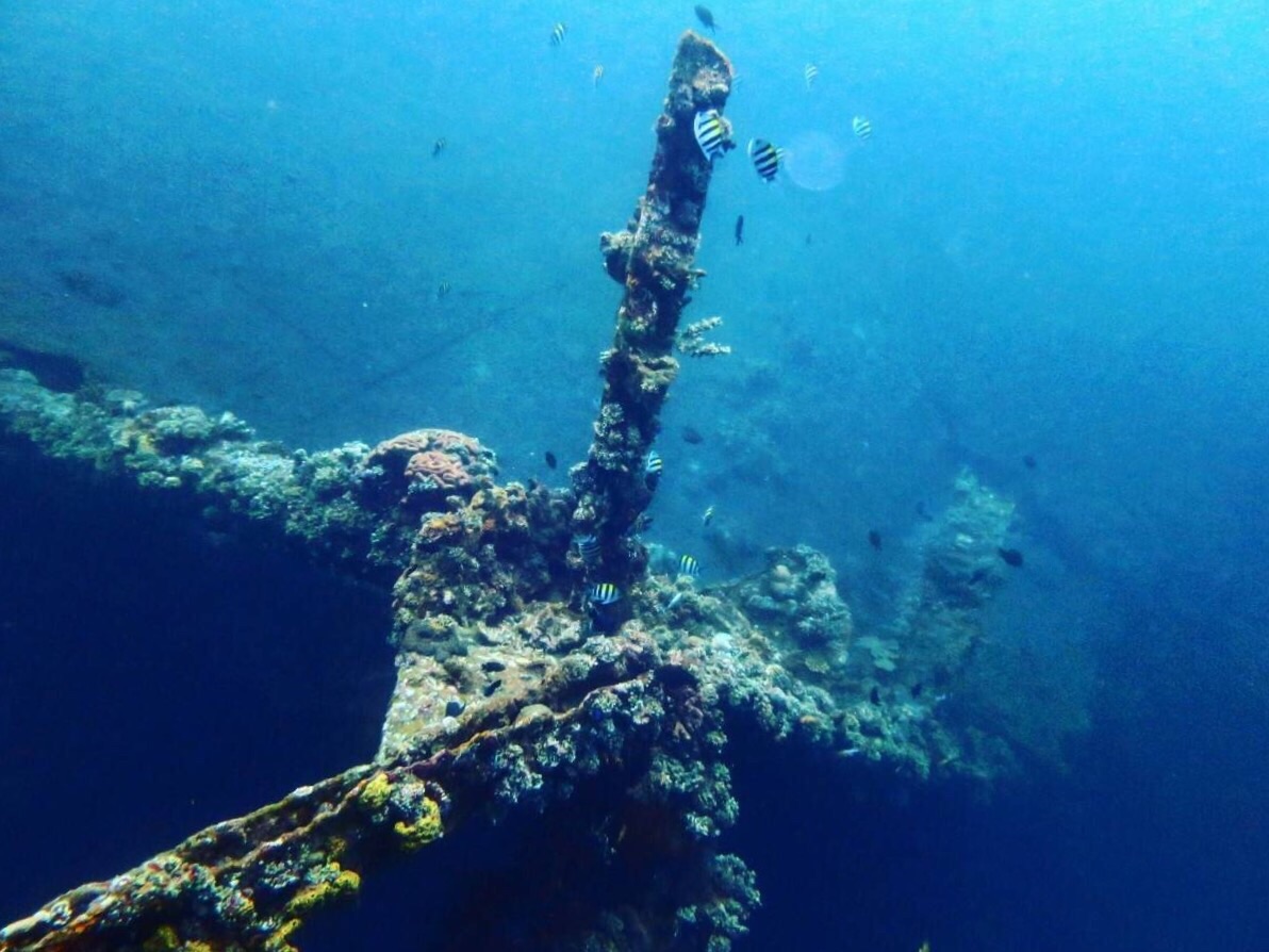 深入海洋最底端！泰坦尼克号沉船位置这么深？美呆了_哔哩哔哩_bilibili