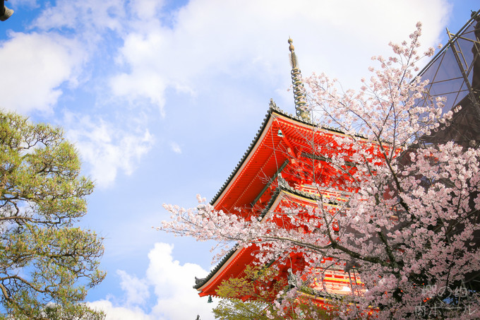 二年坂三年坂的尽头便是大名鼎鼎的清水寺了  这里我就不多做介绍啦