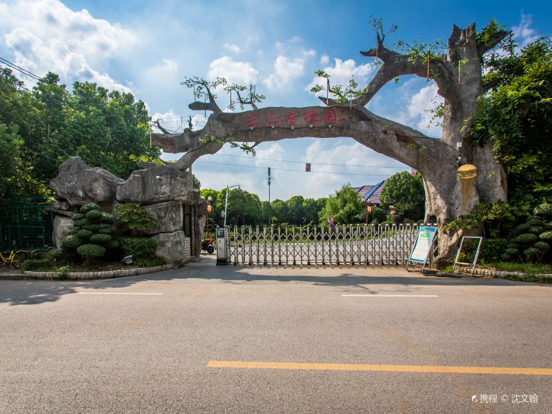 东山香樟园门票图片