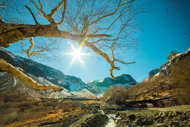 長白山的冬天美出天際,夏天更是傾心醉人.