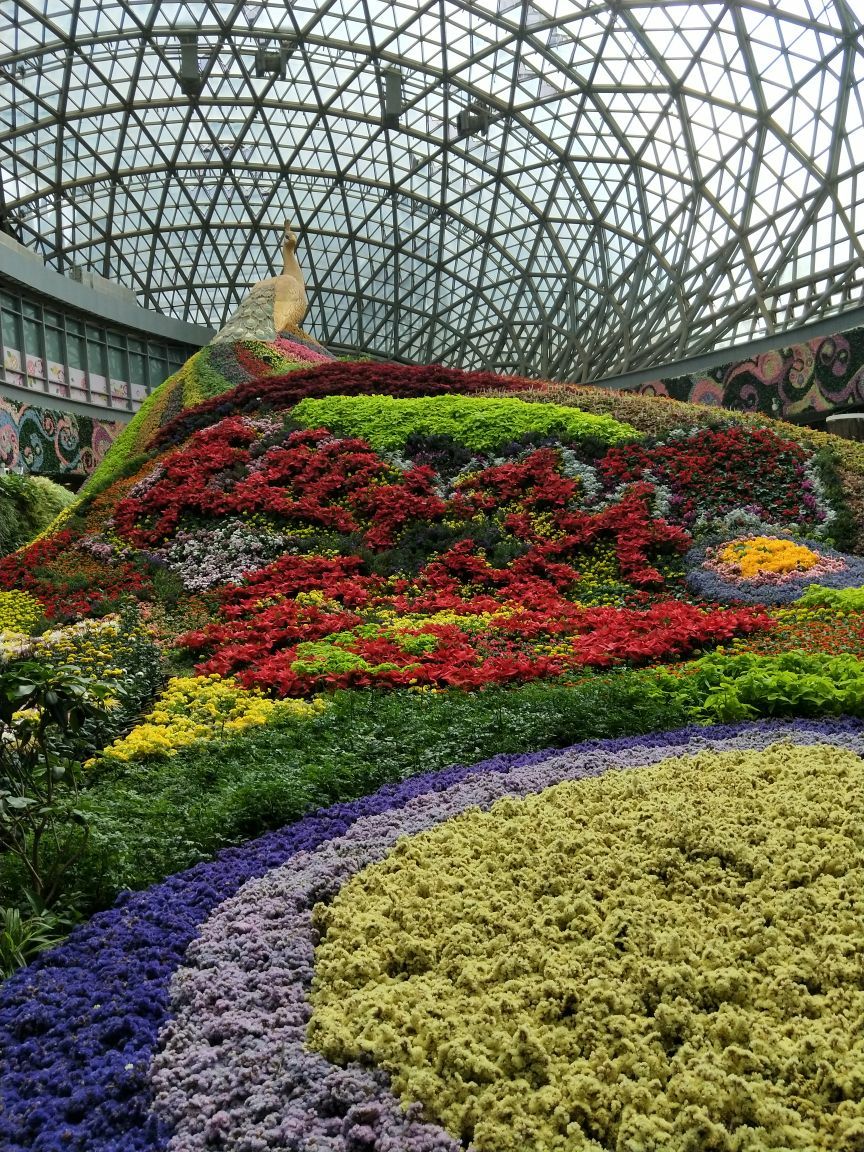 集春城美景于花之城,一年四季花常开.