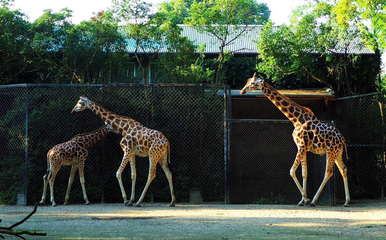 哈根贝克动物园
