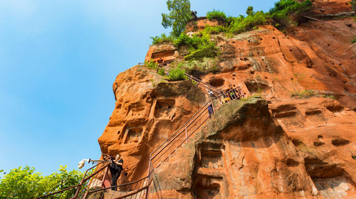 成都大熊猫繁育研究基地 乐山大佛一日游【三环内包接 假期邂逅萌熊