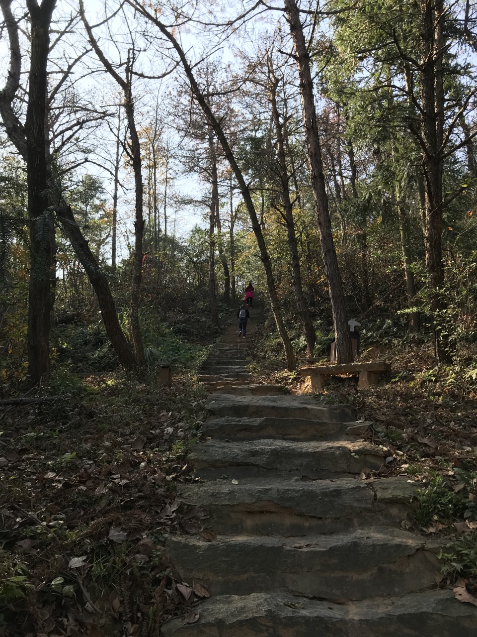 紫清山景点介绍图片