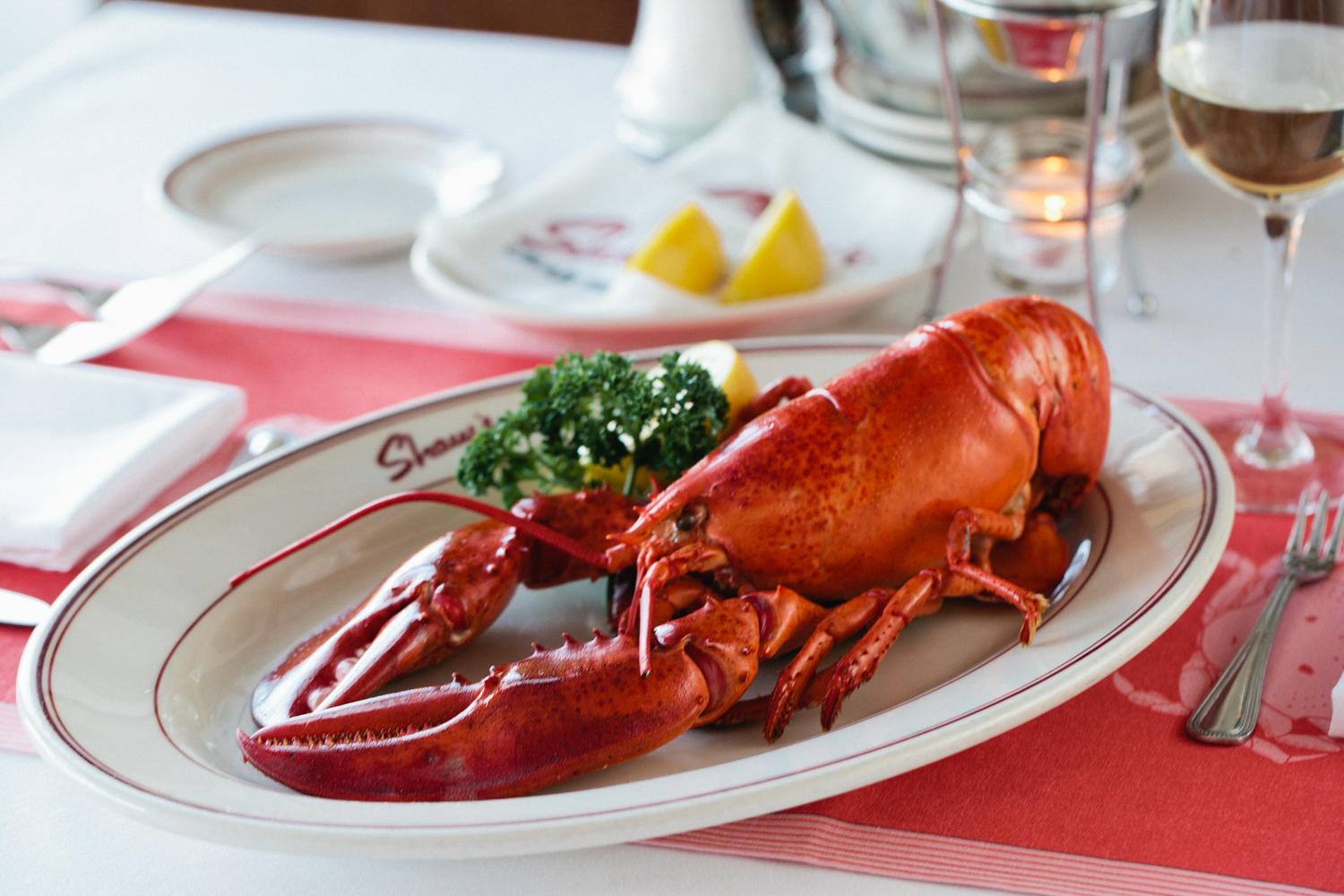 芝加哥乐高乐园