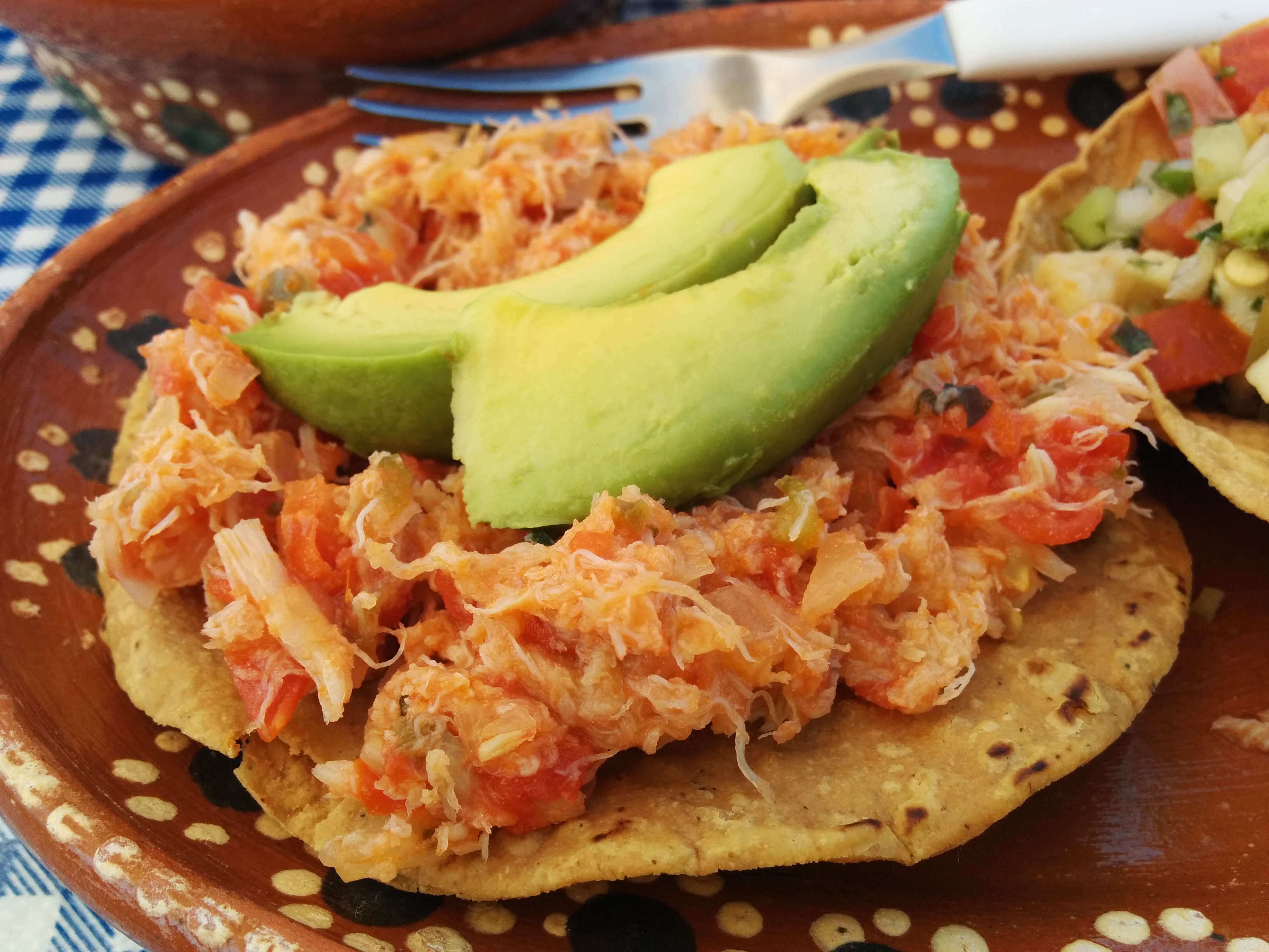 the crab tostadas were amazing. really great fo.