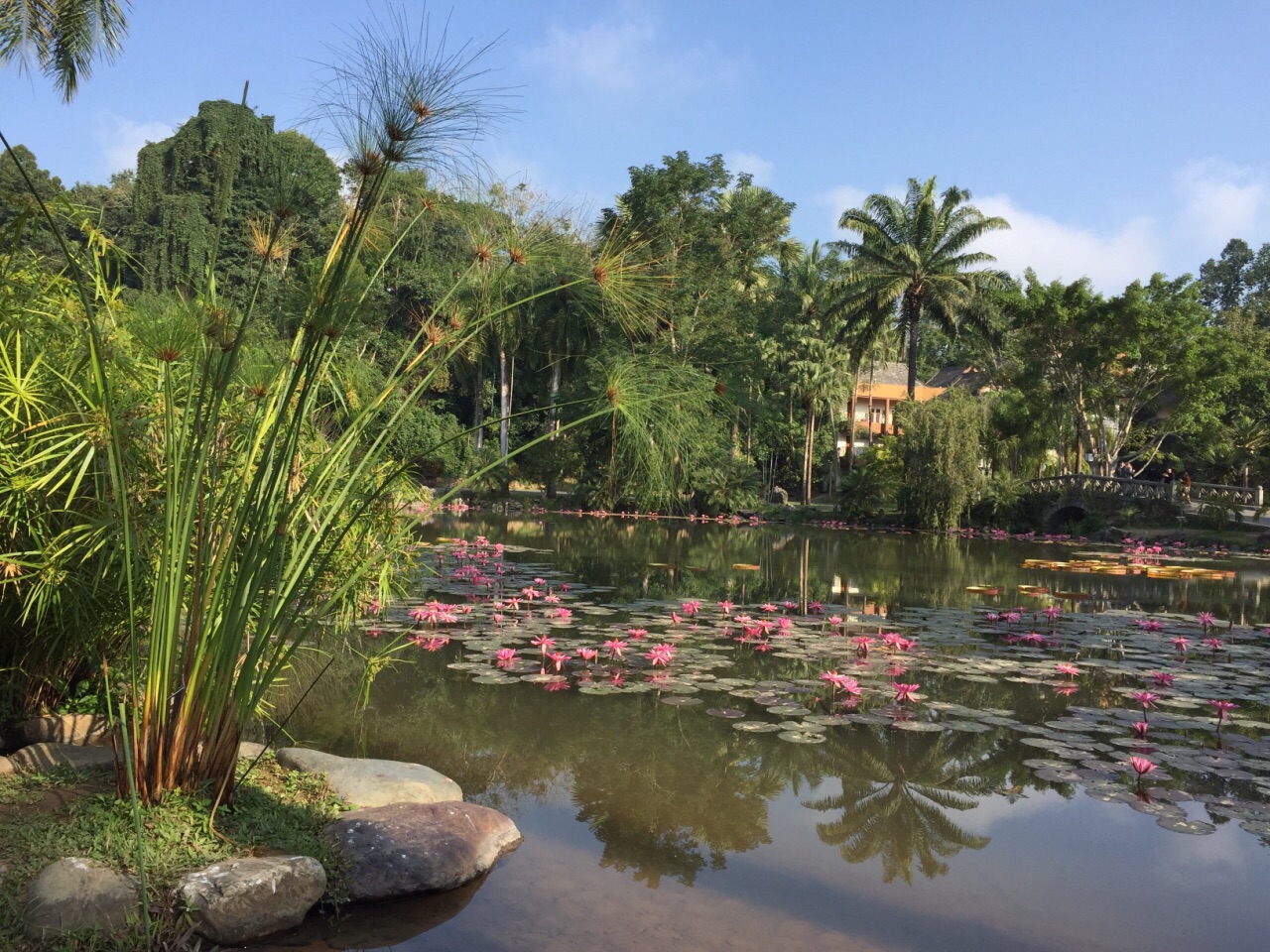 中科院西雙版納熱帶植物園