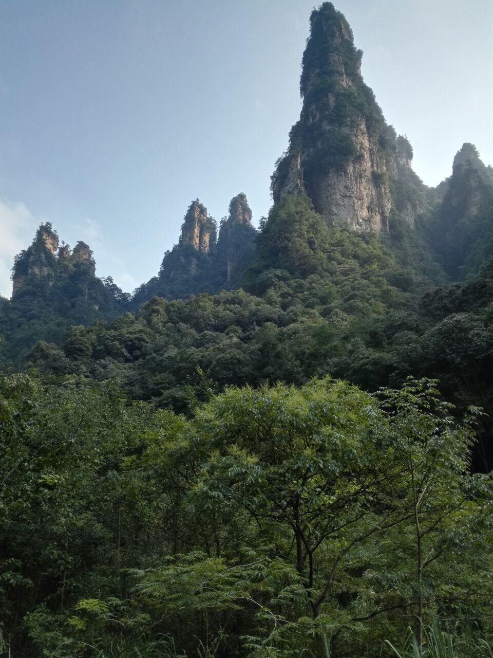 2019食指峰遊玩攻略,食指峰挺有特點的!很喜歡的. 【去哪兒攻略】