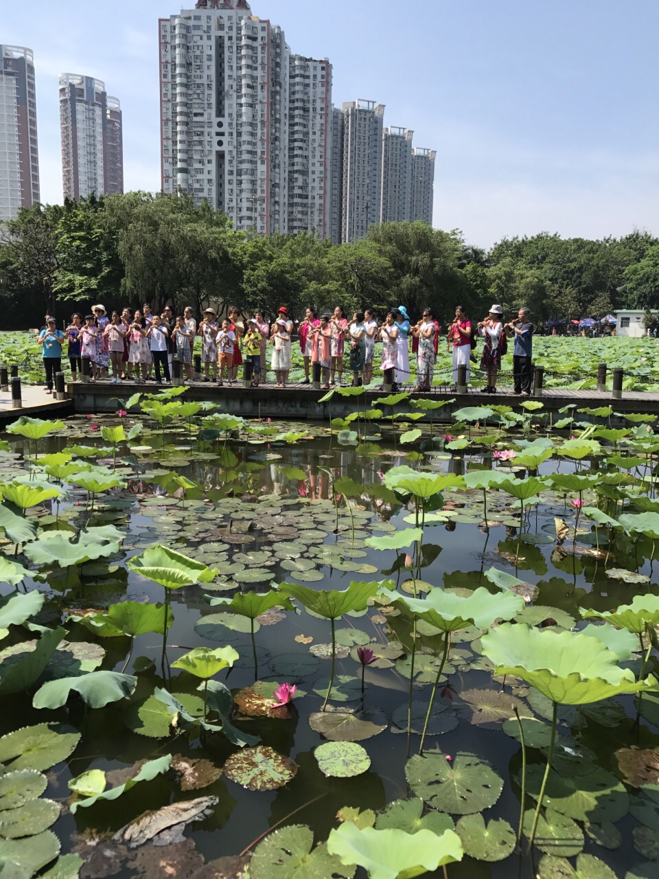 【攜程攻略】深圳洪湖公園景點,靠近布吉和羅湖,進關第一站就是洪湖