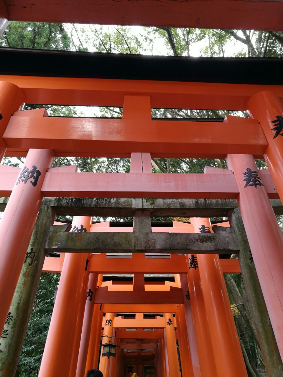 京都千本鳥居好玩嗎,京都千本鳥居景點怎麼樣_點評_評價【攜程攻略】