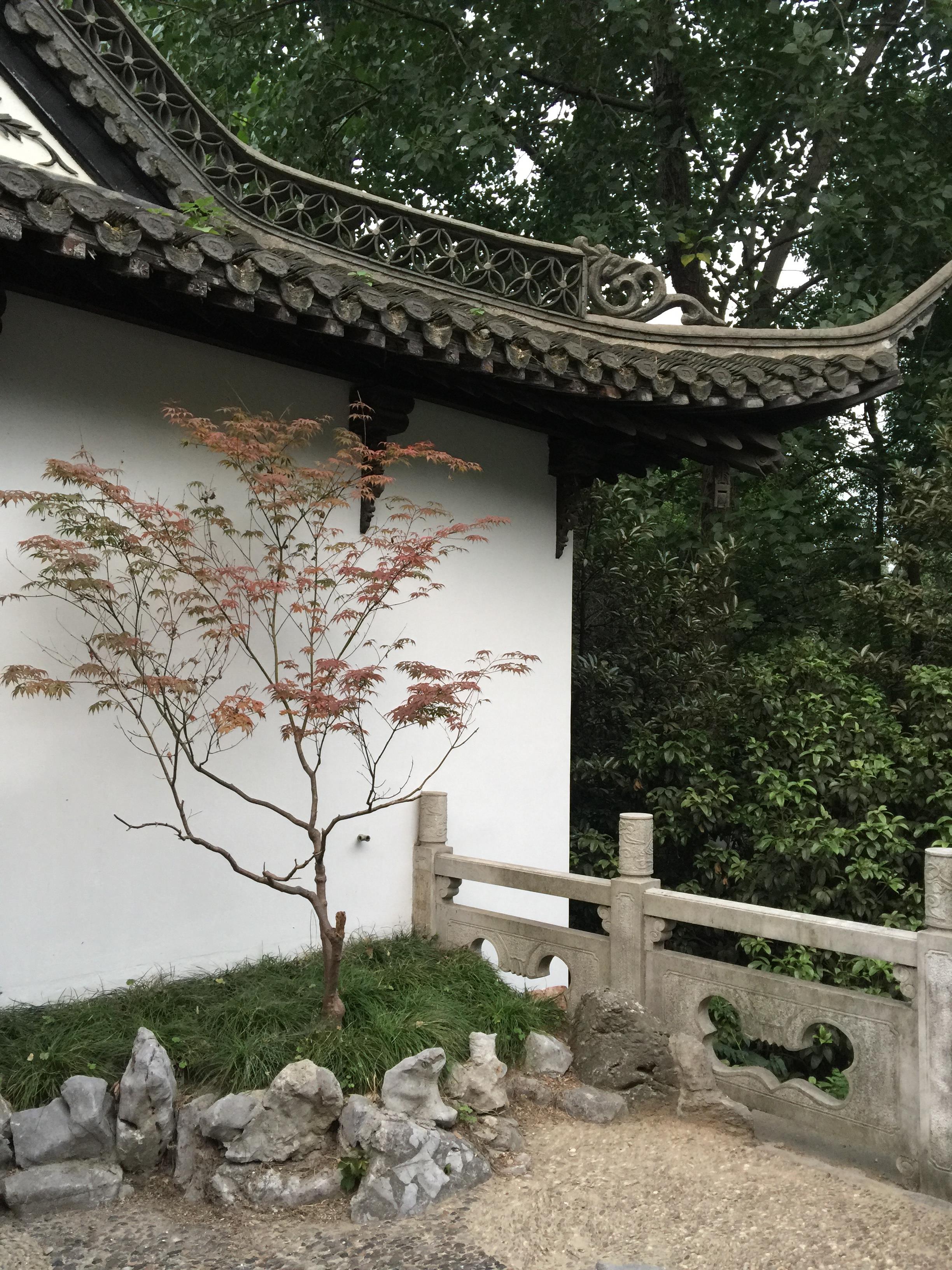 2020趣园茶社-旅游攻略-门票-地址-问答-游记点评,扬州旅游旅游景点