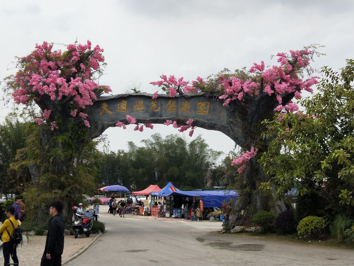 【携程攻略】从化天适樱花悠乐园景点,樱花不是很多,仔细看,樱花还是