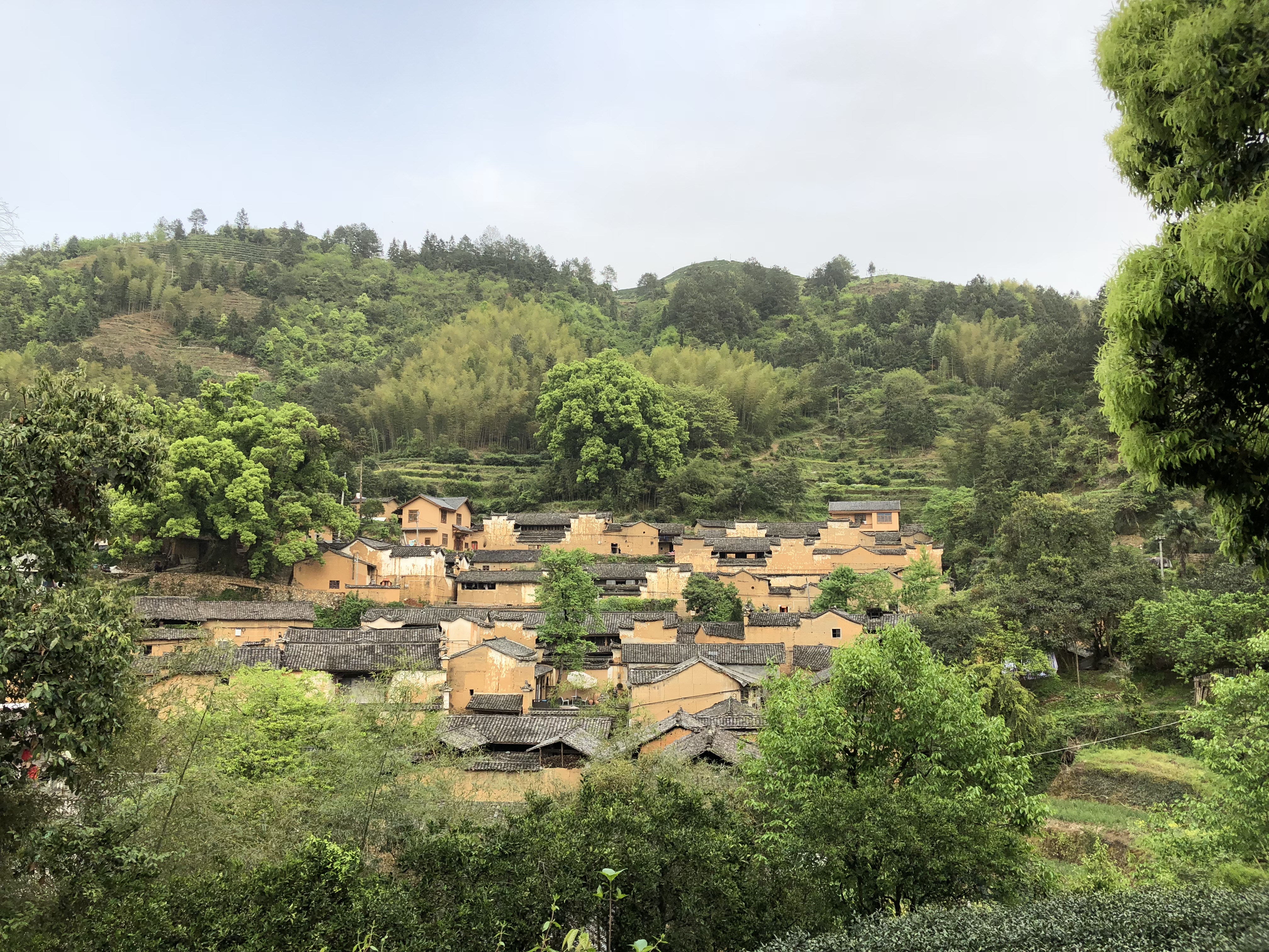 2019楊家堂村_旅遊攻略_門票_地址_遊記點評,松陽旅遊景點推薦 - 去