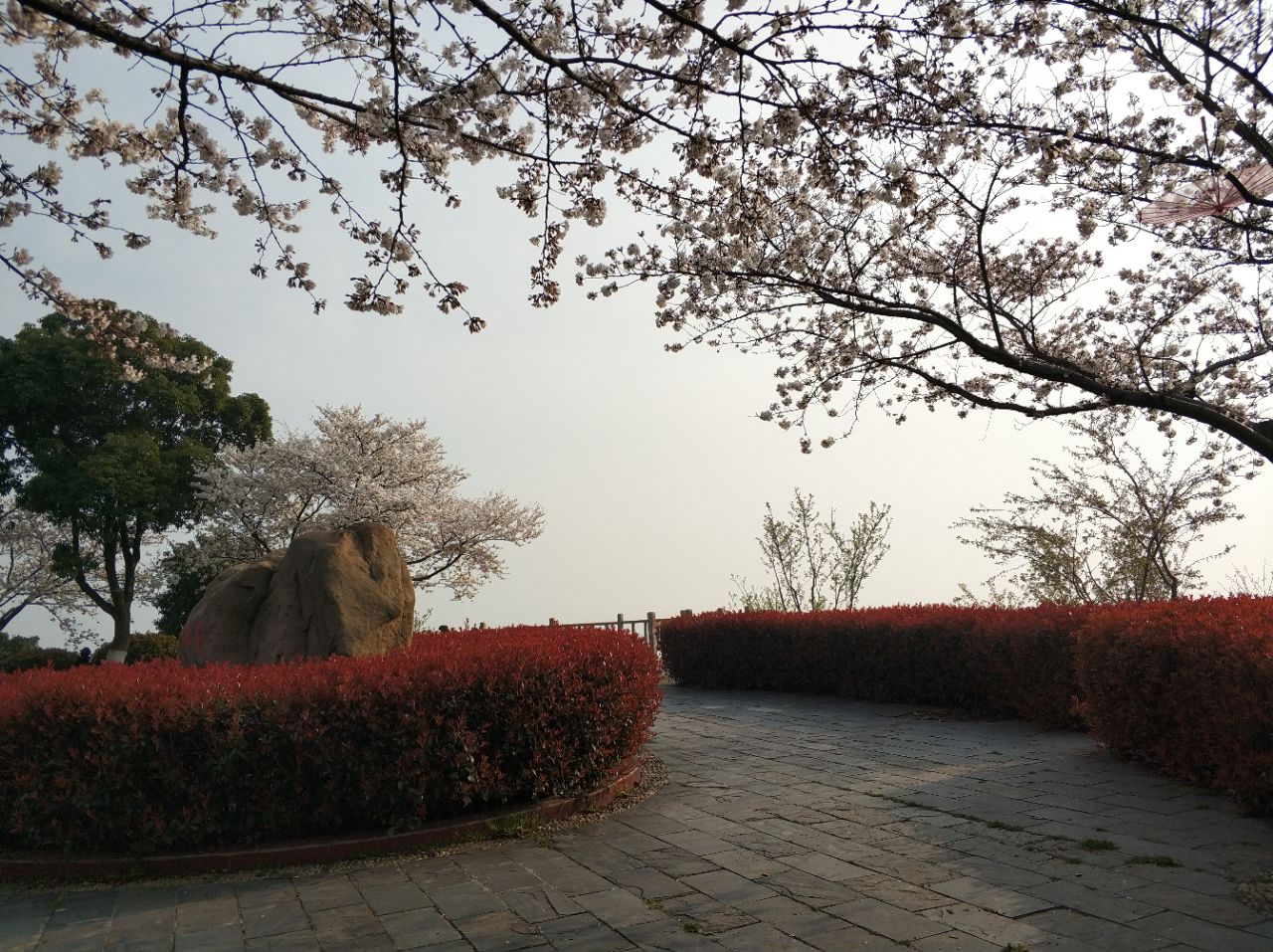 【携程美食林】无锡红沙湾生态园餐馆,无锡市区开过去还是很远的.