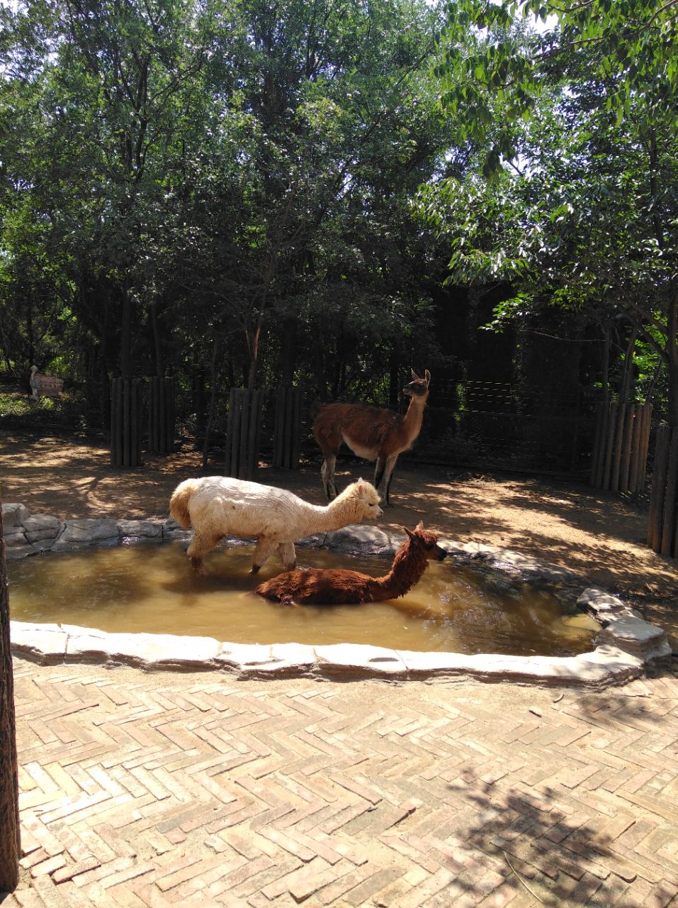 濟南野生動物世界