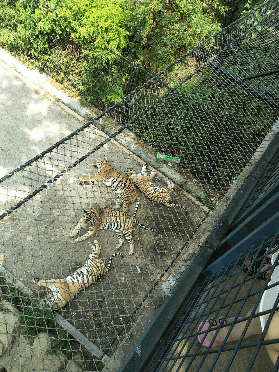 大連森林動物園