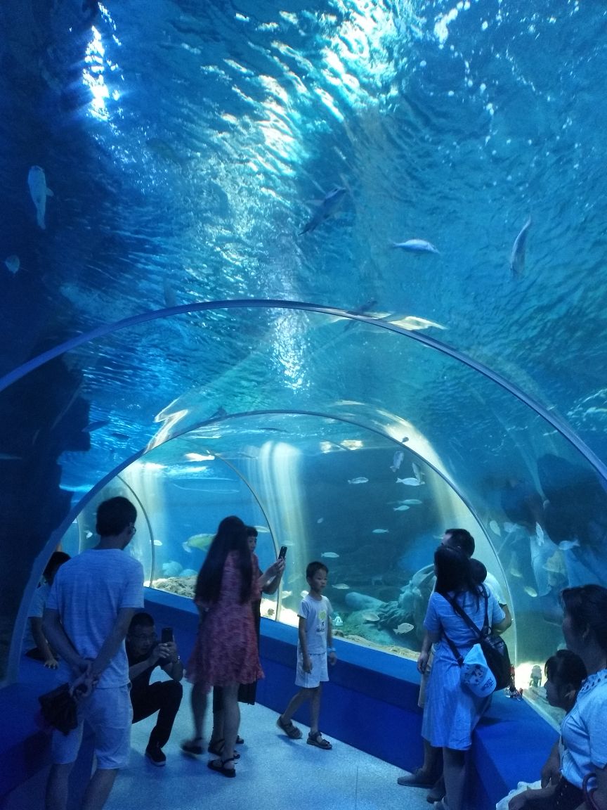赣州极地海洋世界