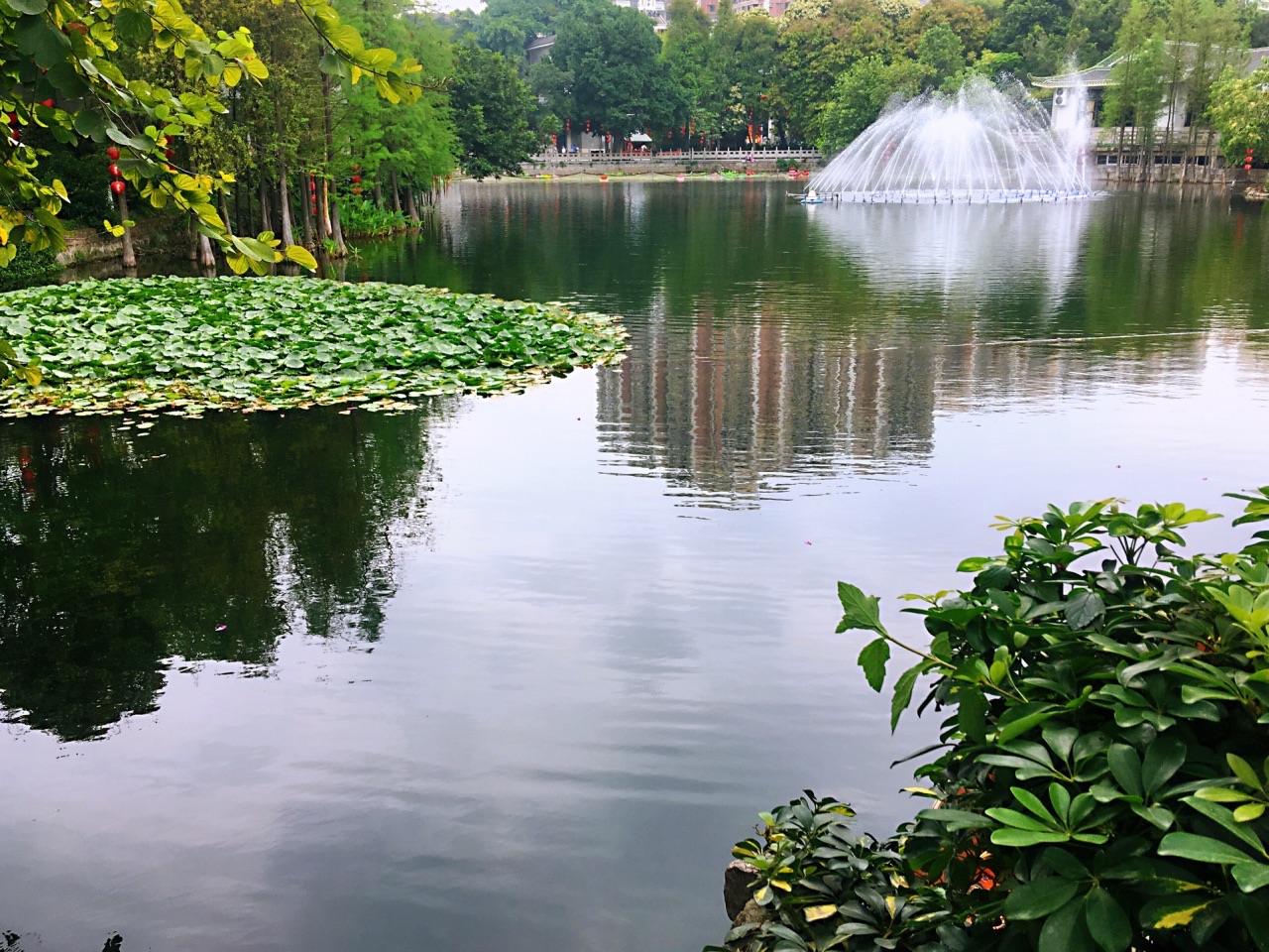 彩虹湖公园位于济南市高新区孙村片区正中……