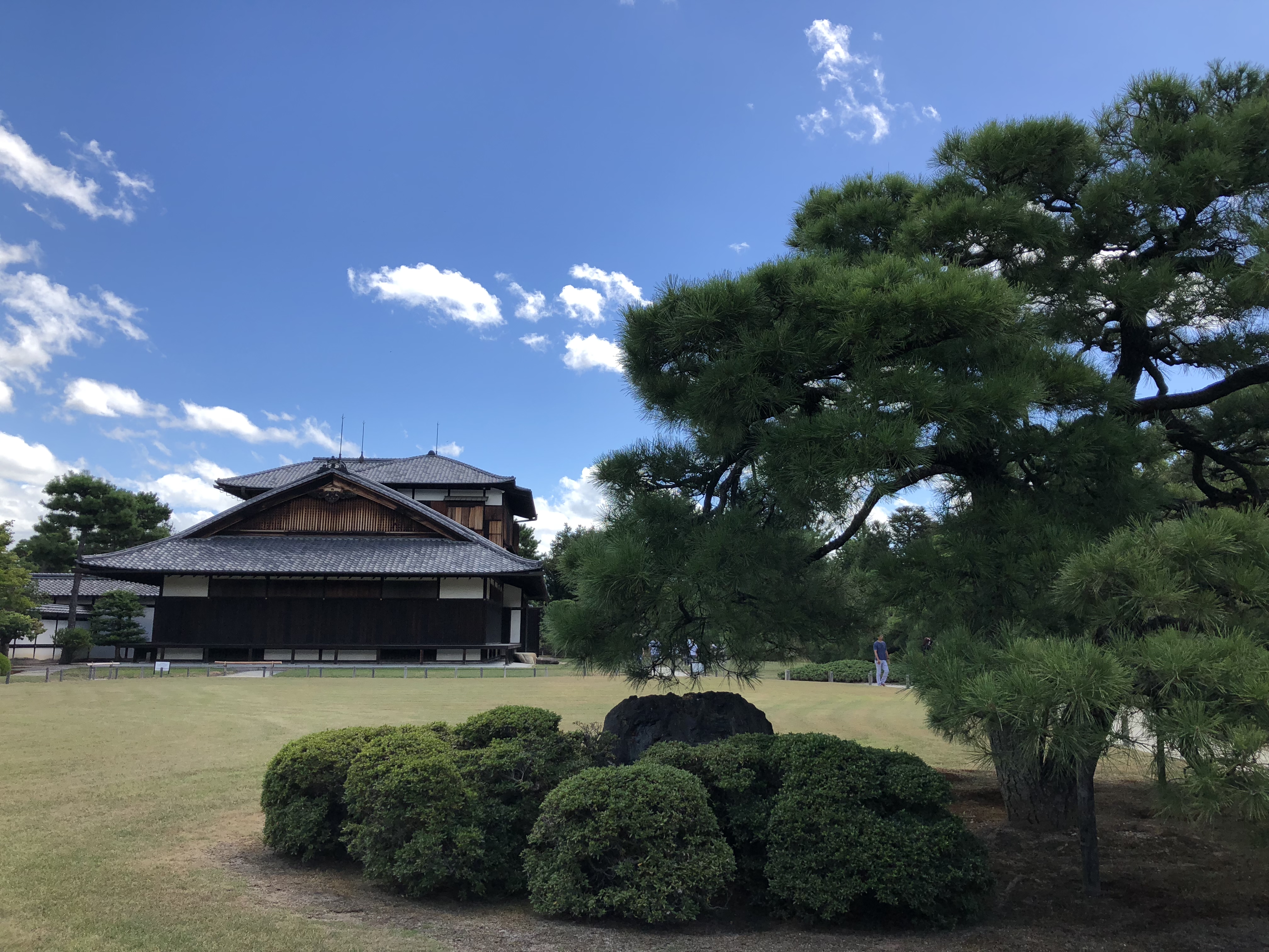 2018二条城_旅游攻略_门票_地址_游记点评,京都旅游景点推荐 - 去哪儿