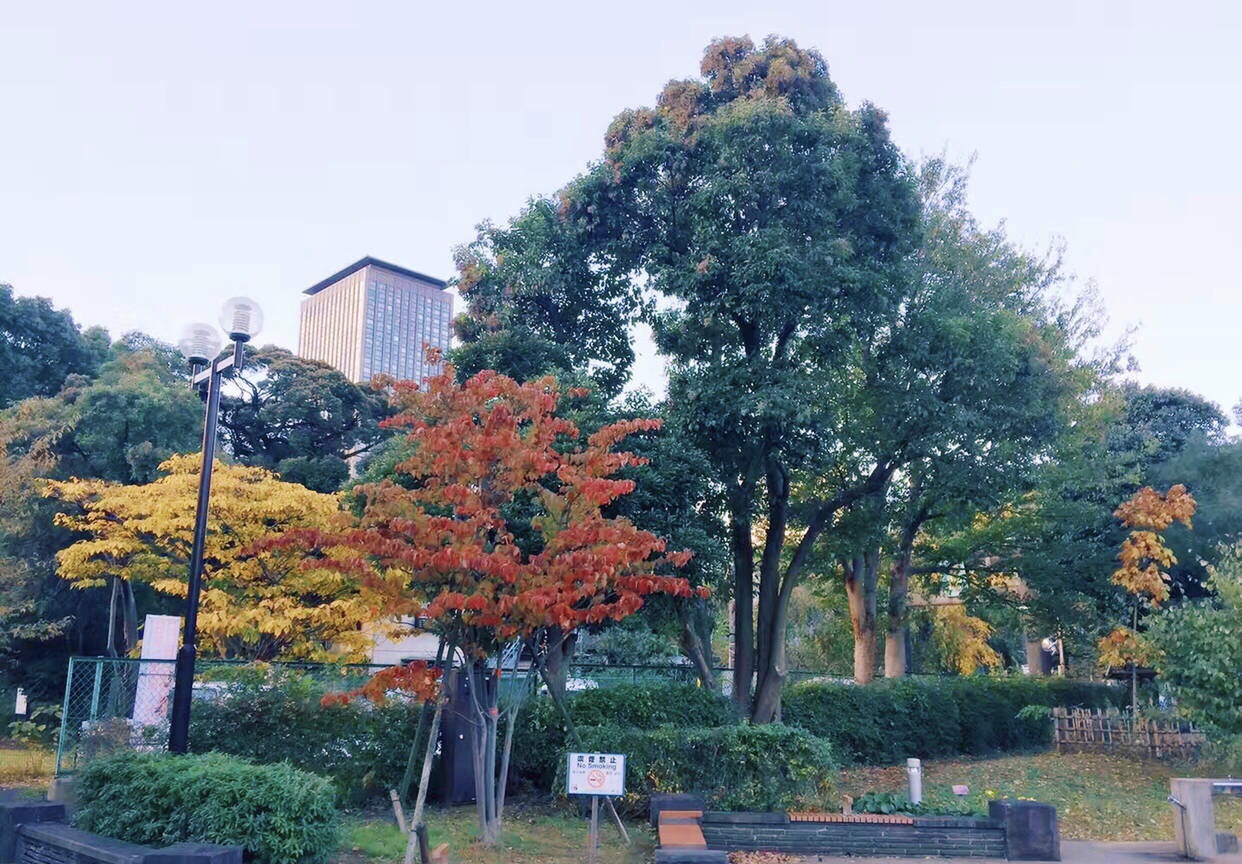 21芝公园游玩攻略 每一次東京之行一定会抽时间 去哪儿攻略