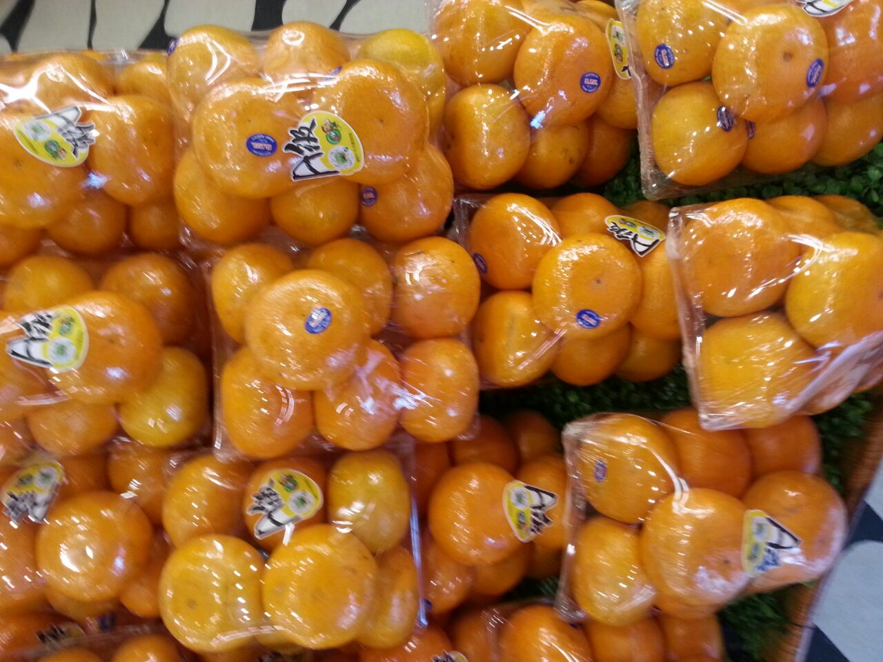菲律賓Dole木瓜 (8裝) – 和豐水果聯合社
