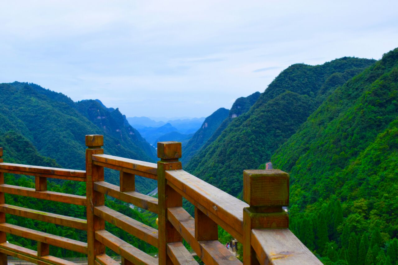 2023娄山关游玩攻略,有索桥,还有玻璃栈道.非常.【去哪儿攻略】