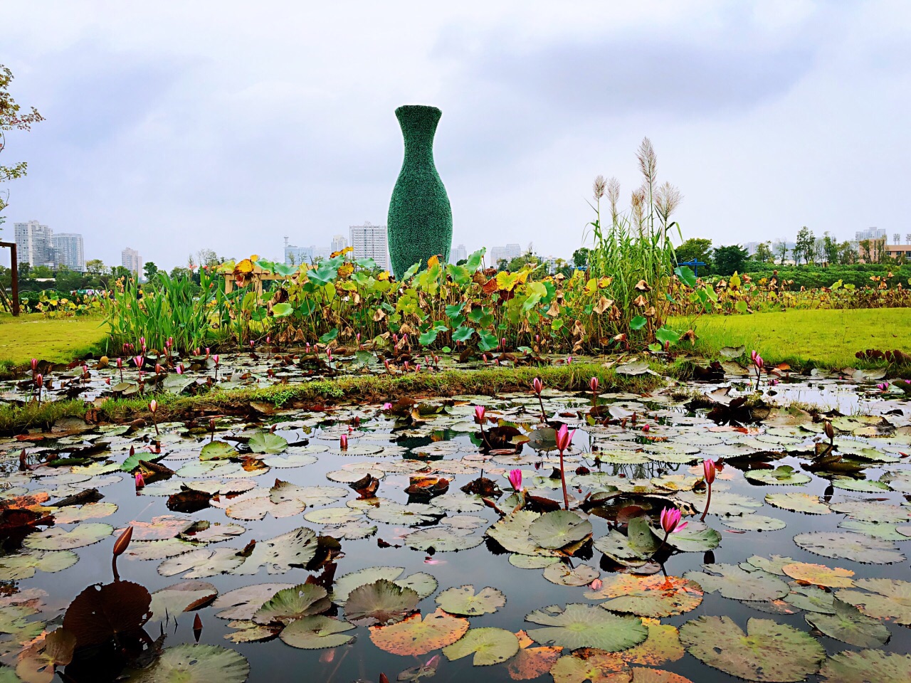 圣莲岛荷花博览园