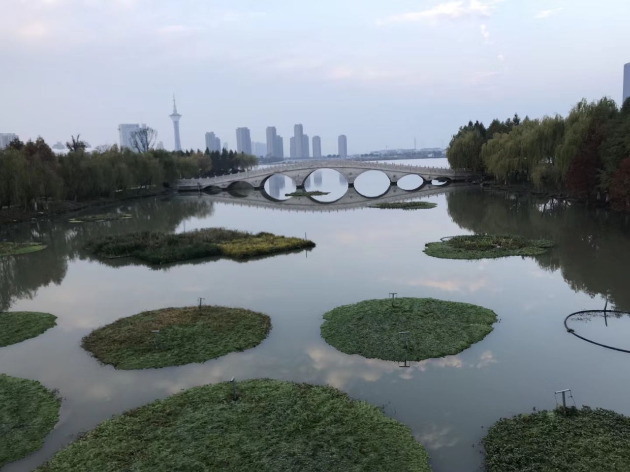 【携程攻略】绍兴镜湖国家城市湿地公园景点,不错，位于绍兴城，环境幽雅，风景优美。