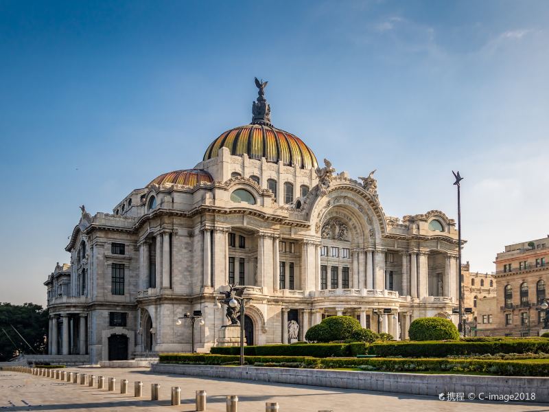 是当地的地标性建筑 美术馆的修建工程 1/ 145 墨西哥城国家美术