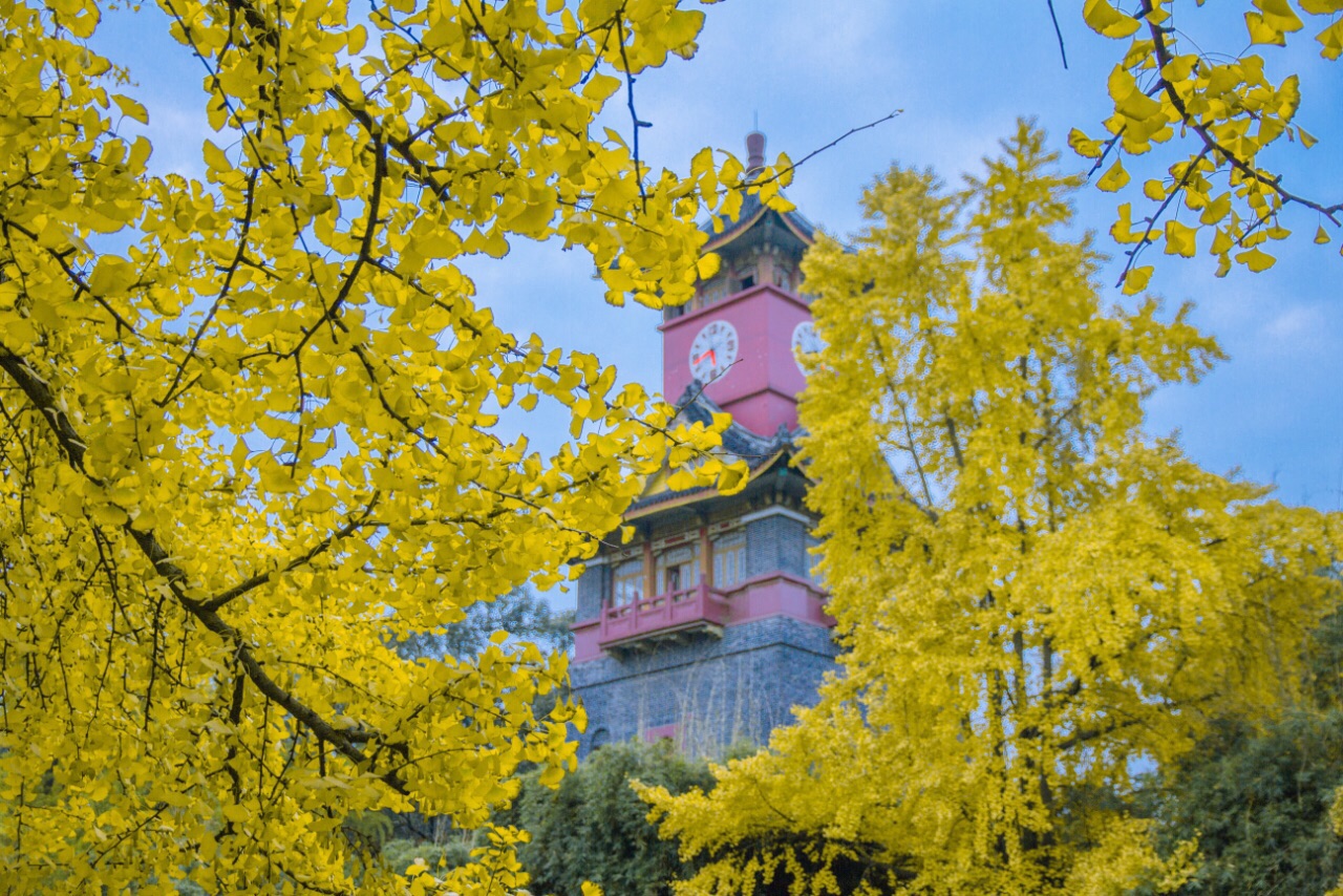 【携程攻略】成都四川大学华西青羊校区景点,夏天时曾经来过川大,看到