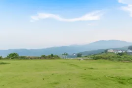 창난 1일 투어: 팜 코브의 리조트 풍경