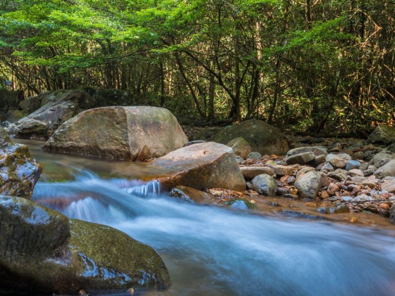 九阜山自然保护区图片