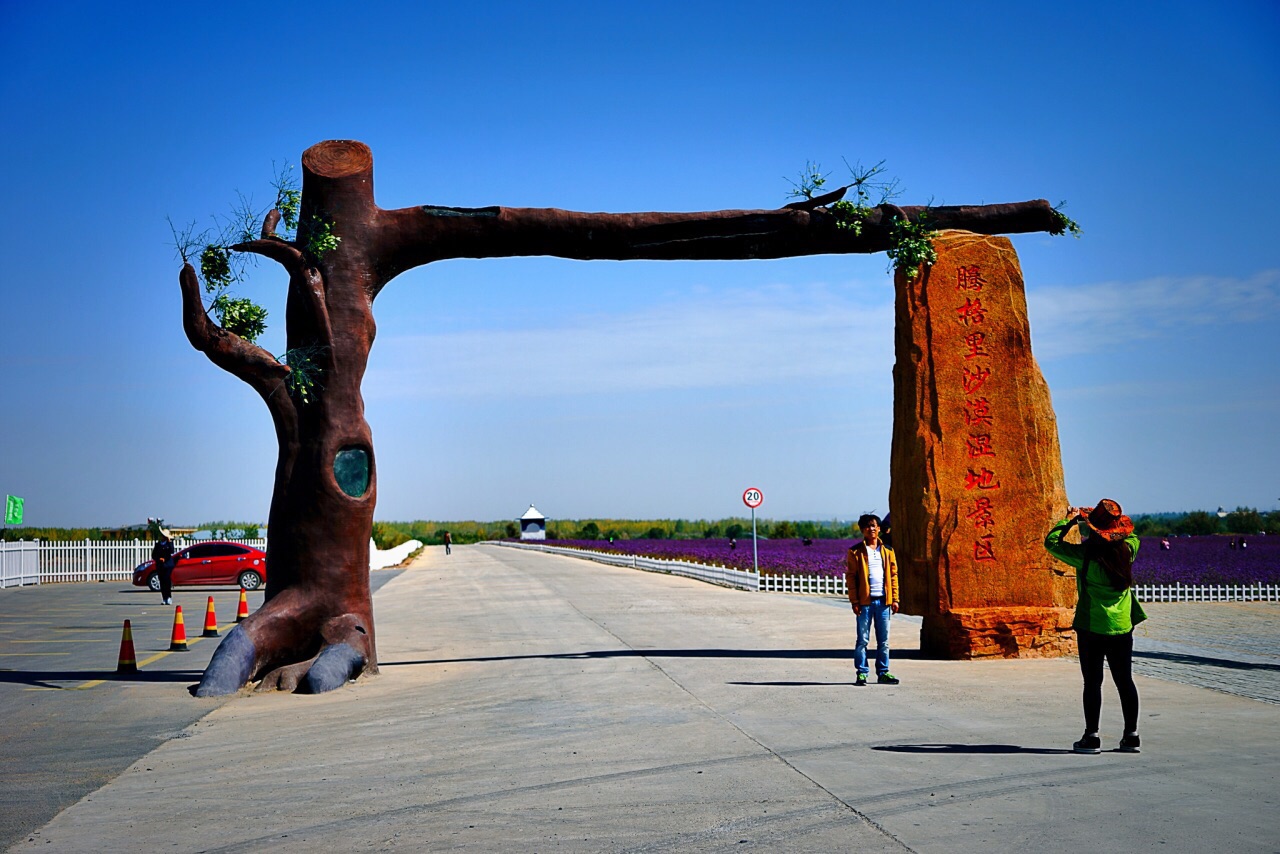 腾格里沙漠湿地金沙岛旅游区