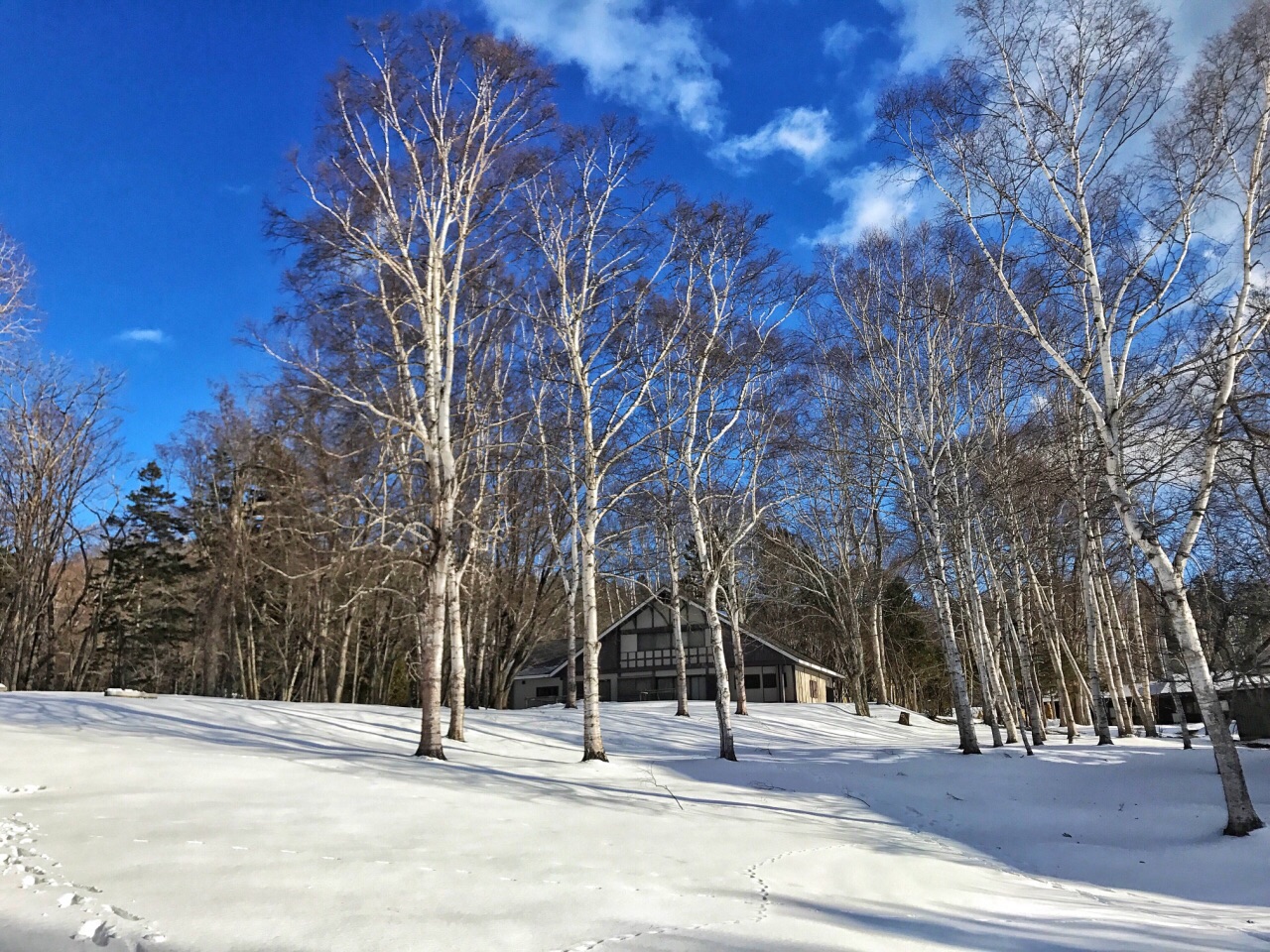 2023阿寒湖游玩攻略,北海道阿寒湖,因为大量温泉...【去哪儿攻略】