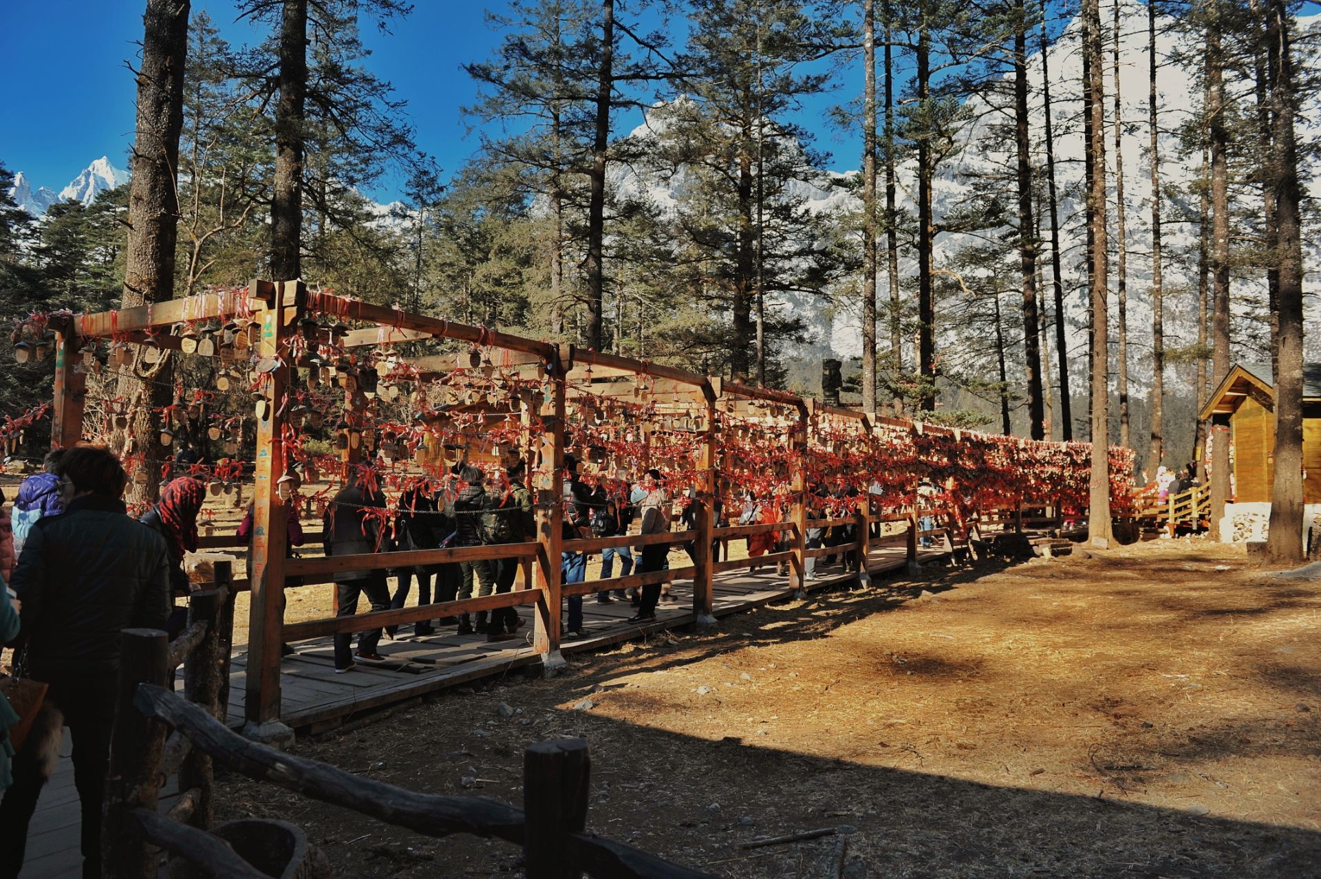 丽江云杉坪索道好玩吗,丽江云杉坪索道景点怎么样_点评_评价【携程