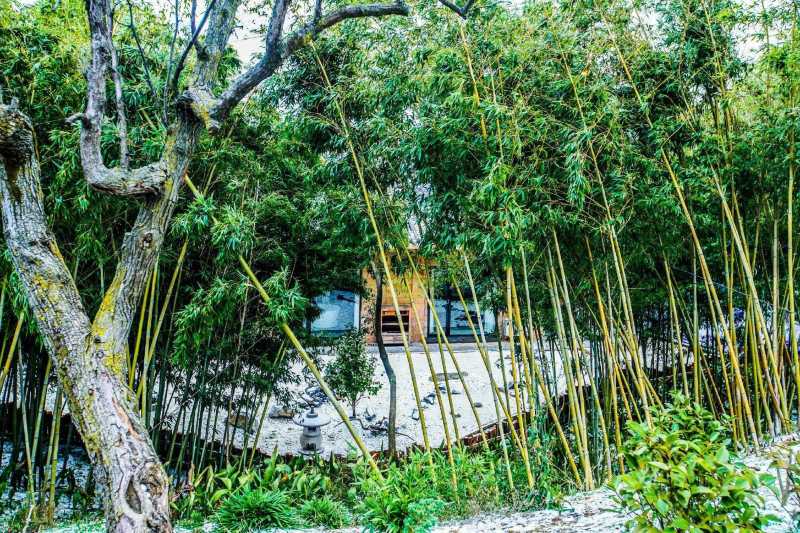 重庆巫山最具三峡情怀的网红民宿三峡院子-携程攻略