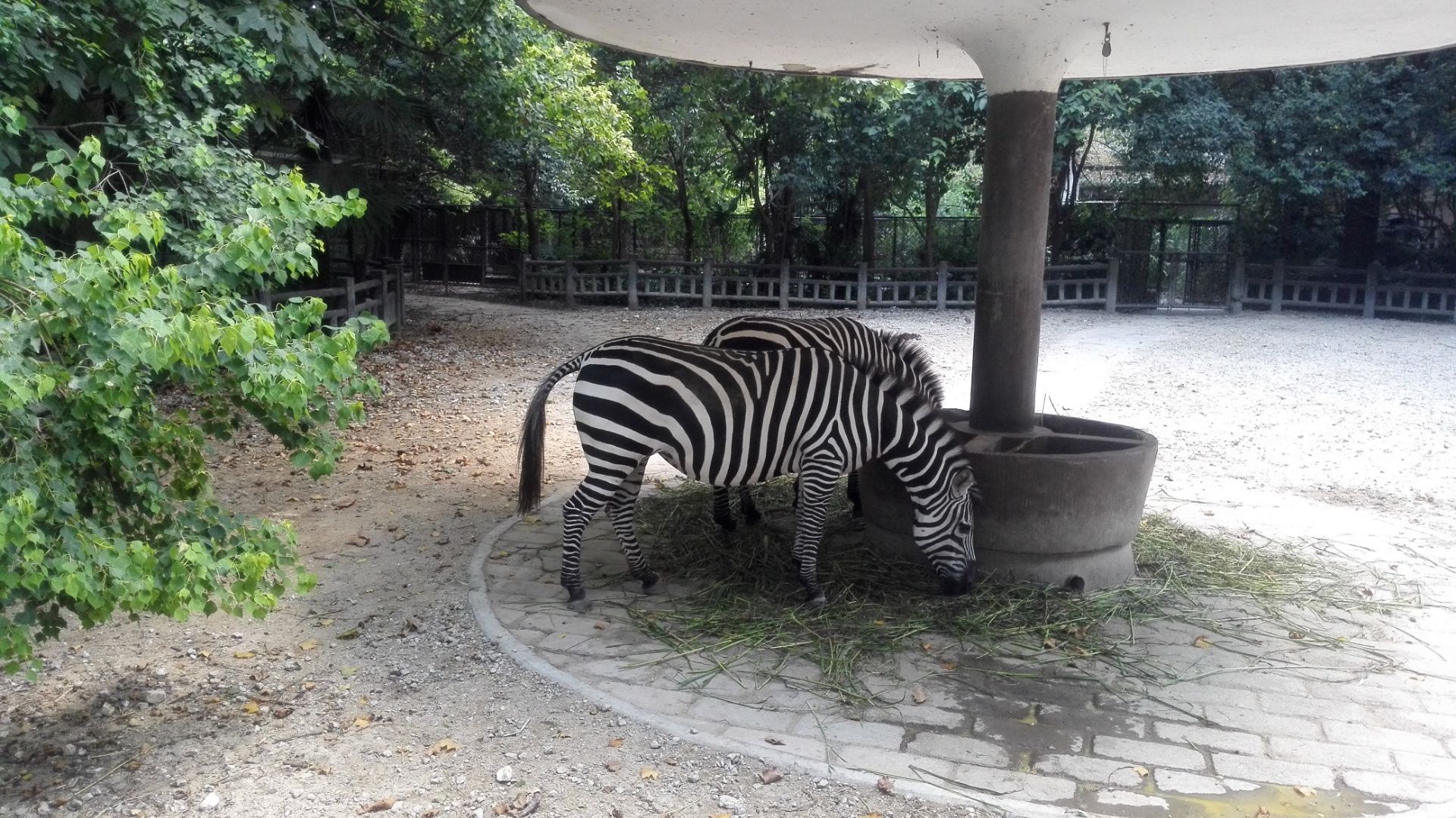 上海动物园,上海上海动物园攻略/地址/图片/门票【携程攻略】