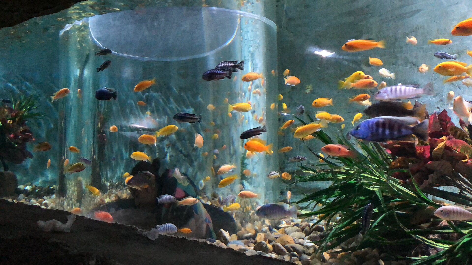 贵安海洋探秘世界