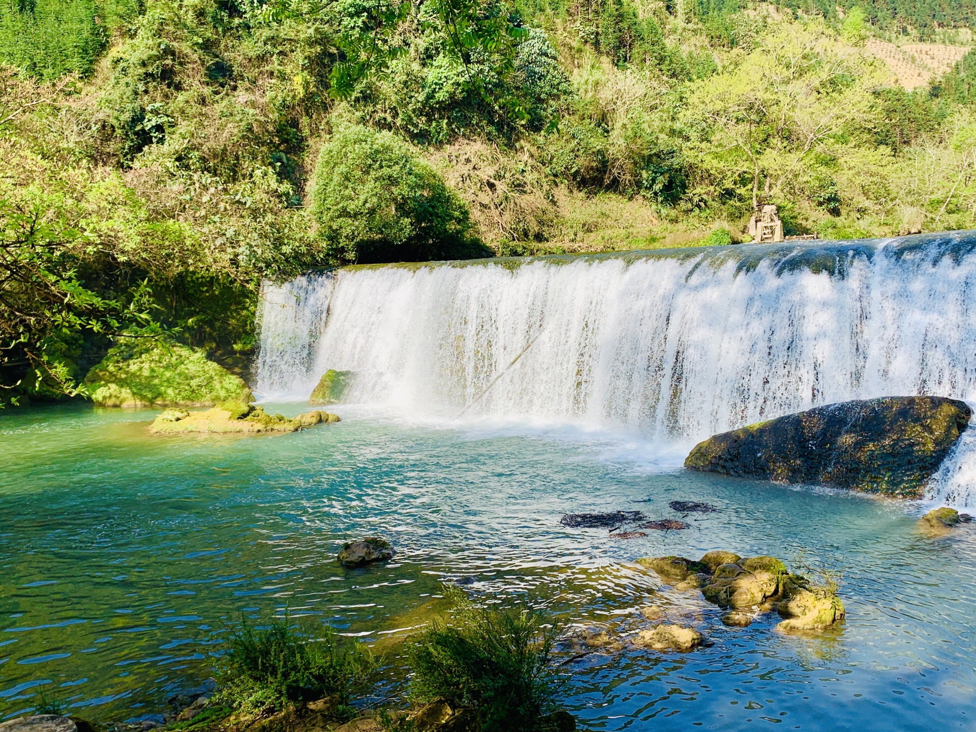 2019罗平油菜花景区-旅游攻略-门票-地址-问答-游记点评，罗平旅游旅游景点推荐-去哪儿攻略