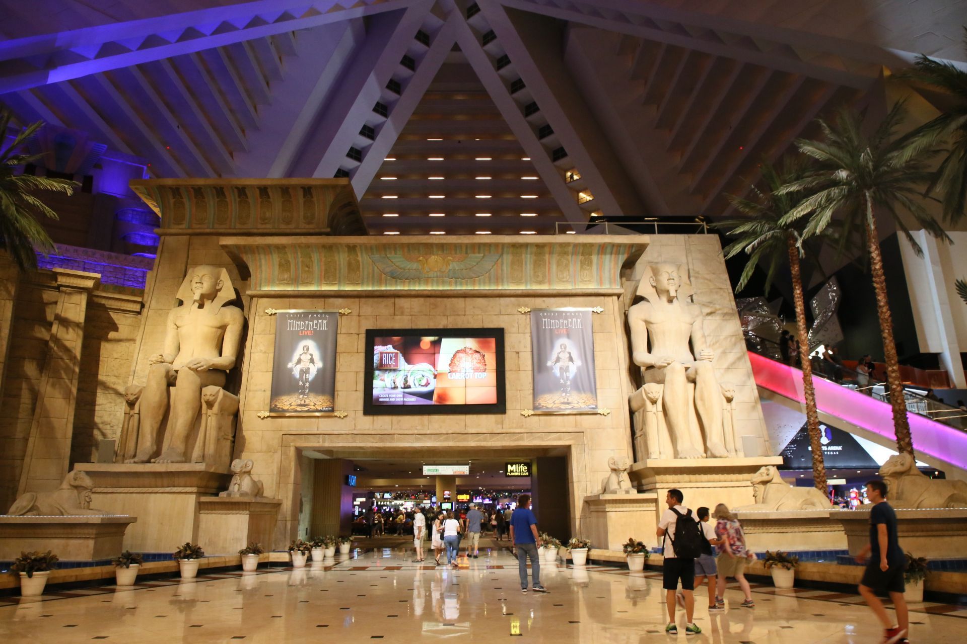 表演前有视频播放,感觉就是个超级受欢迎的大明星