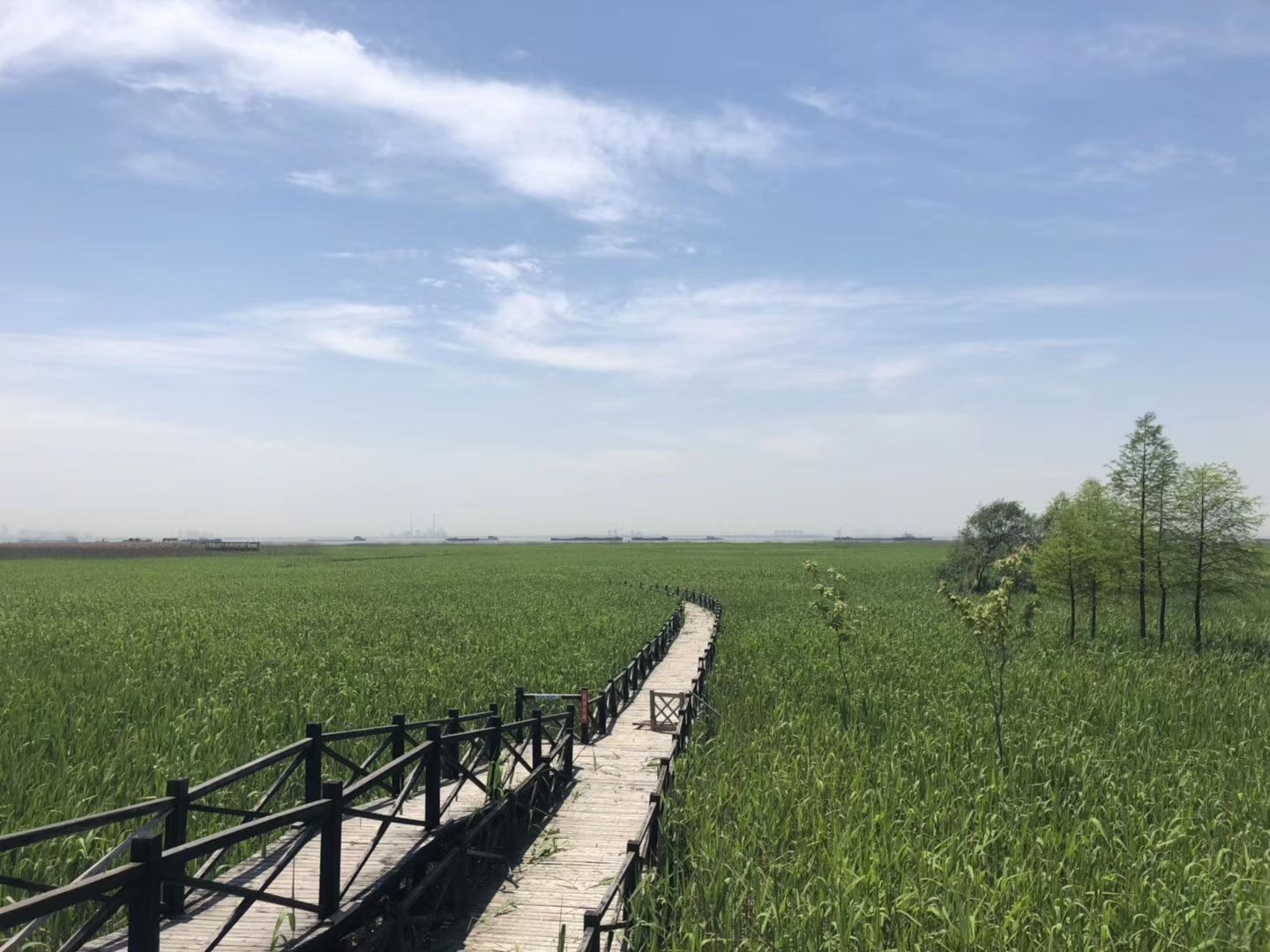 上海最美的景点之西沙湿地公园旅游攻略 低音号导游 - 知乎