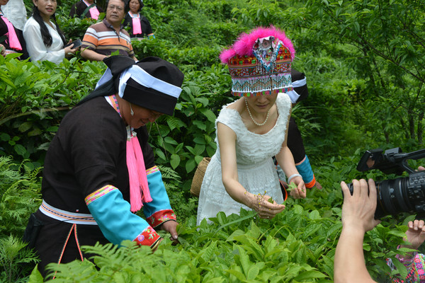 歌唱家唐佩珠贾双飞深入八桂茶叶山为劳动者唱茶歌 歌唱,歌唱家,唐佩,唐佩珠,佩珠