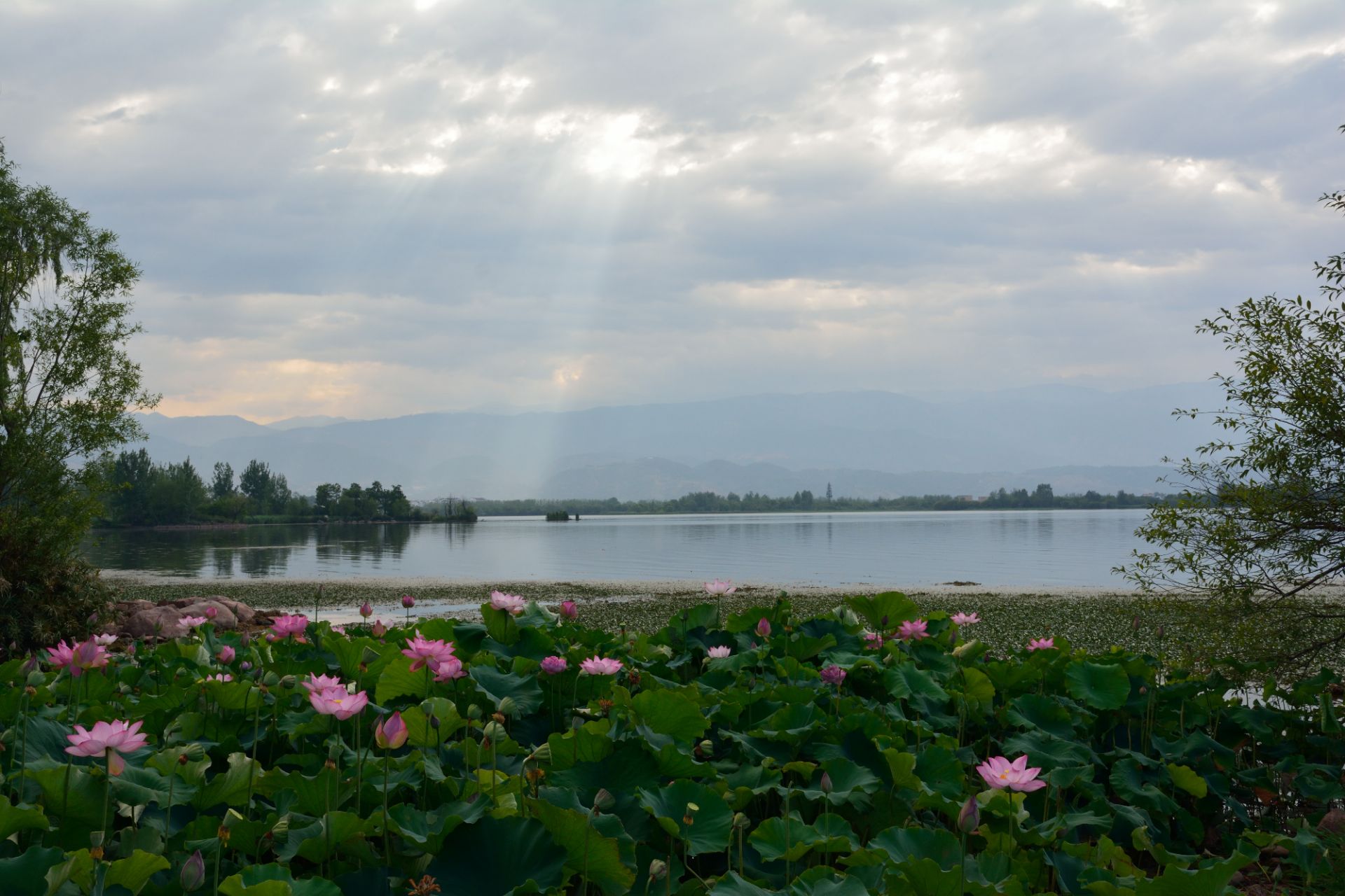 观鸟岛湿地公园