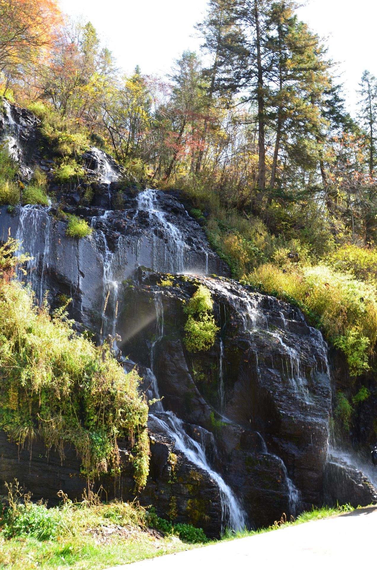 【携程攻略】长白山南坡望天鹅风景区景点,望天鹅山又叫十五道沟,是一