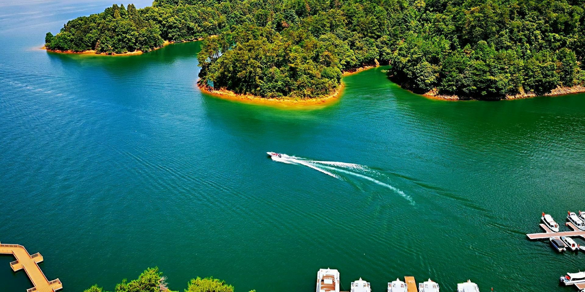 上海太平湖图片