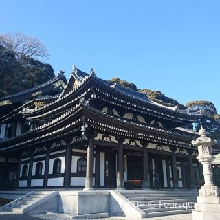 镰仓市极乐寺攻略,极乐寺(undefined)门票/游玩攻略/地址/图片/门票