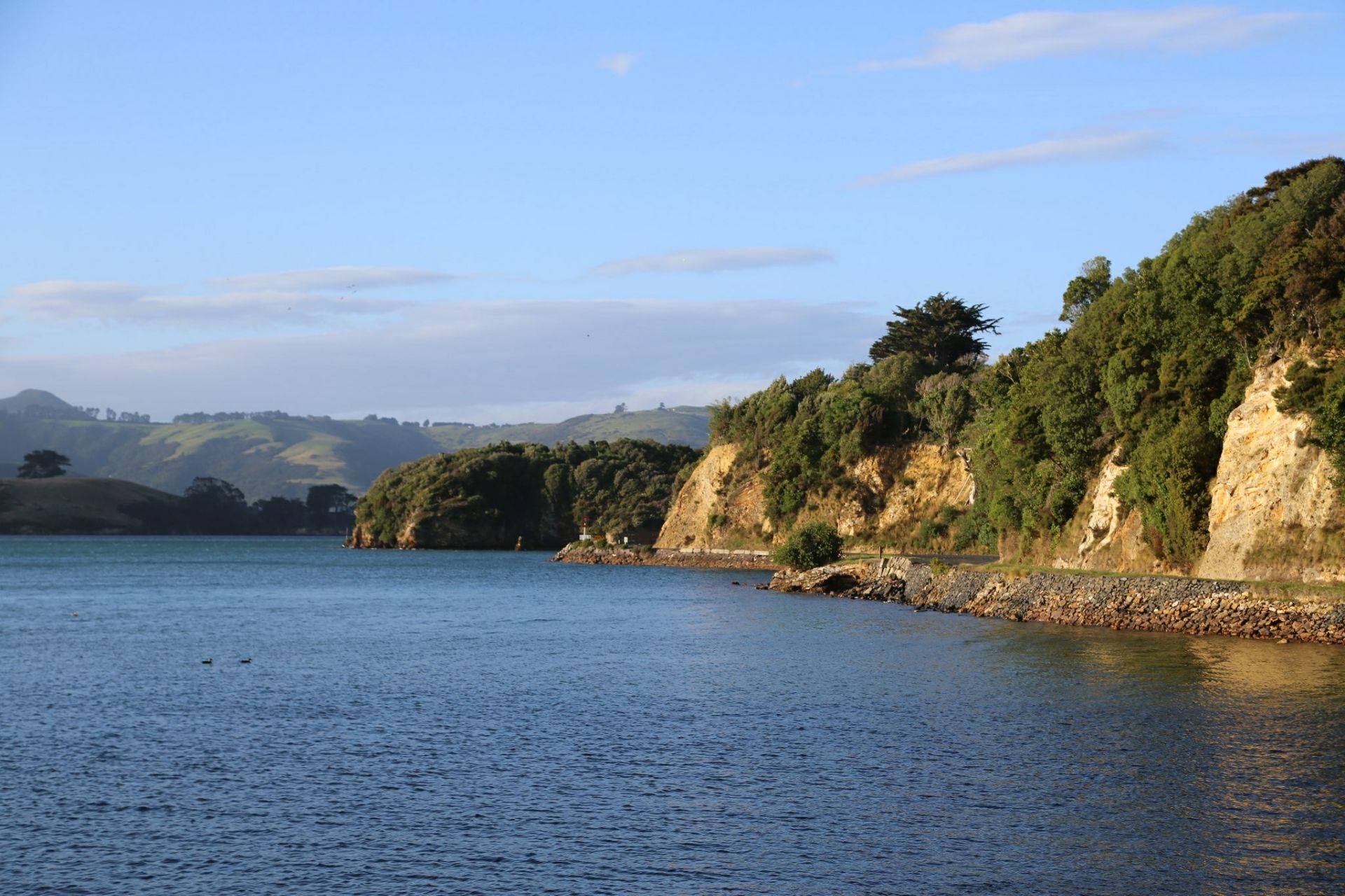奥塔哥半岛是达尼丁的一处非常漂亮的海边景点,这里非常的空旷原始,有