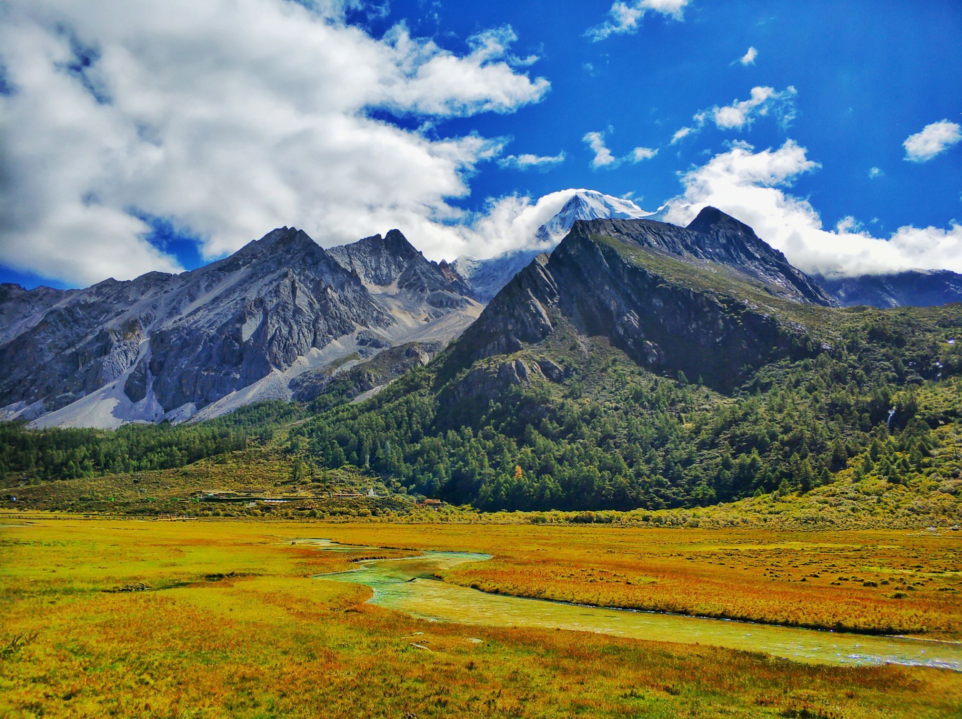 稻城洛绒牛场好玩吗,稻城洛绒牛场景点怎么样_点评_评价【携程攻略】