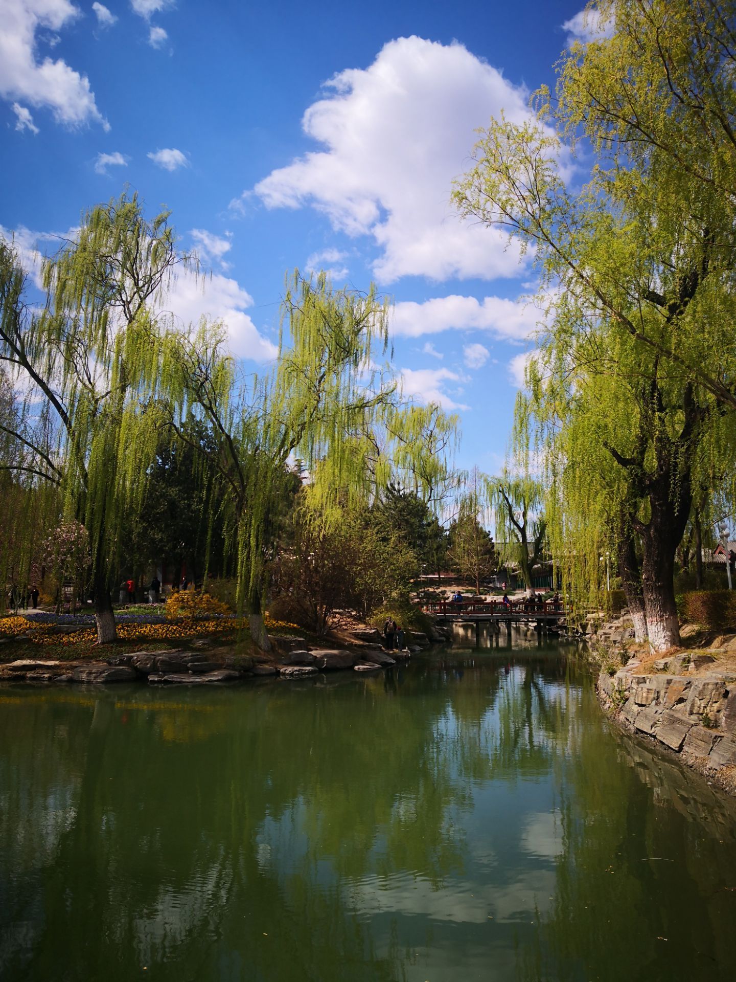 中山公园zhongshan park