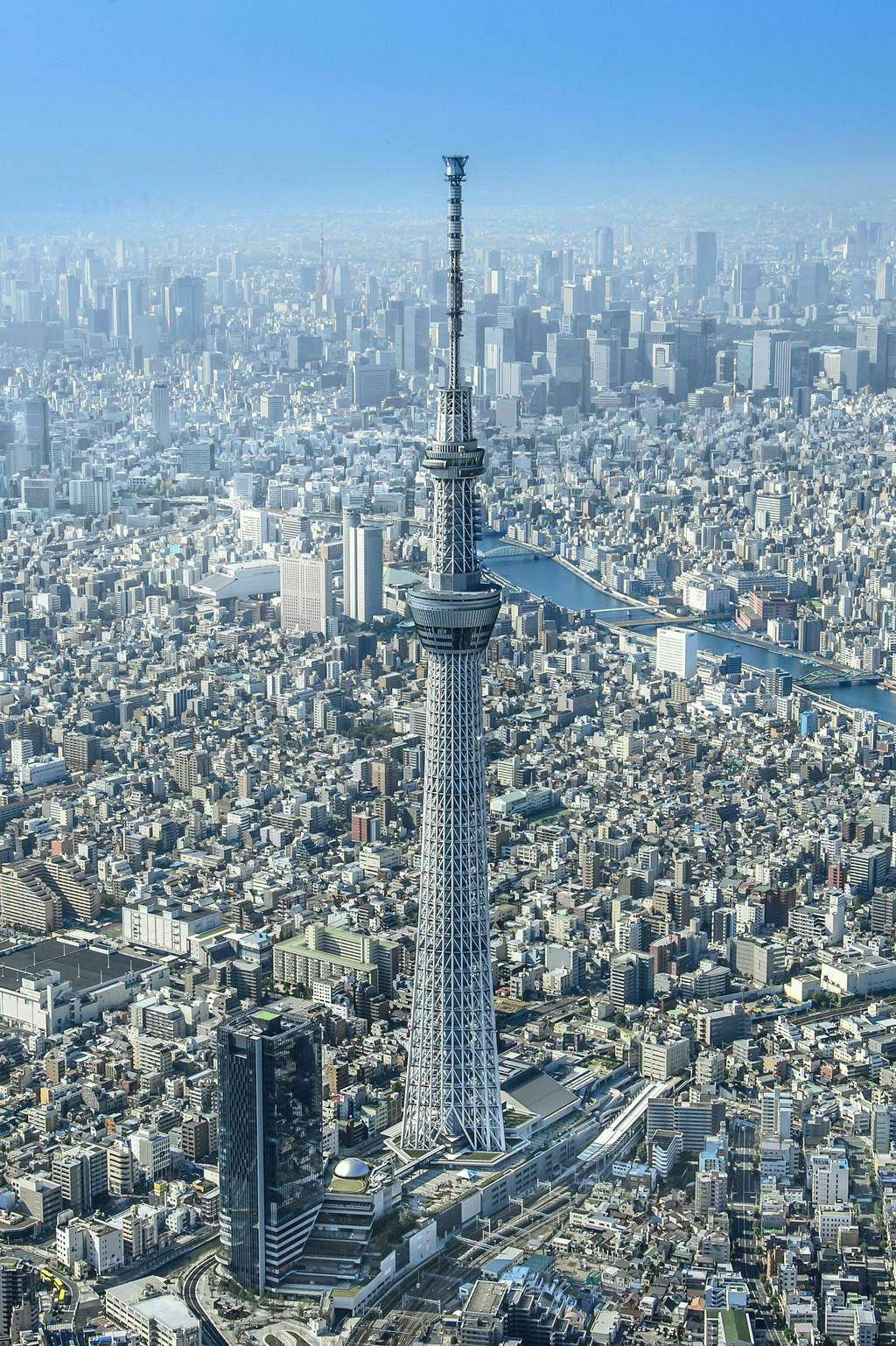 东京塔白天图片
